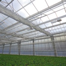Greenhouse climate controlarticle picture