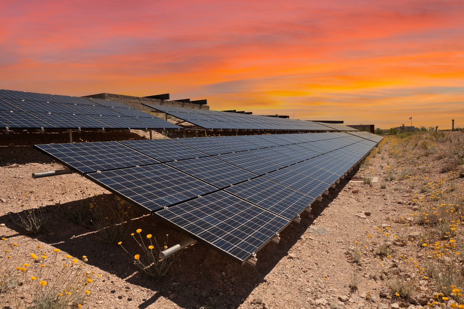solar_panels_oragne_sky-1